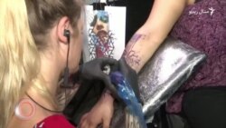 د فبرورۍ ۲۲مې ويډيويي خبرونه د فبرورۍ ۲۲مې ويډيويي خبرونه