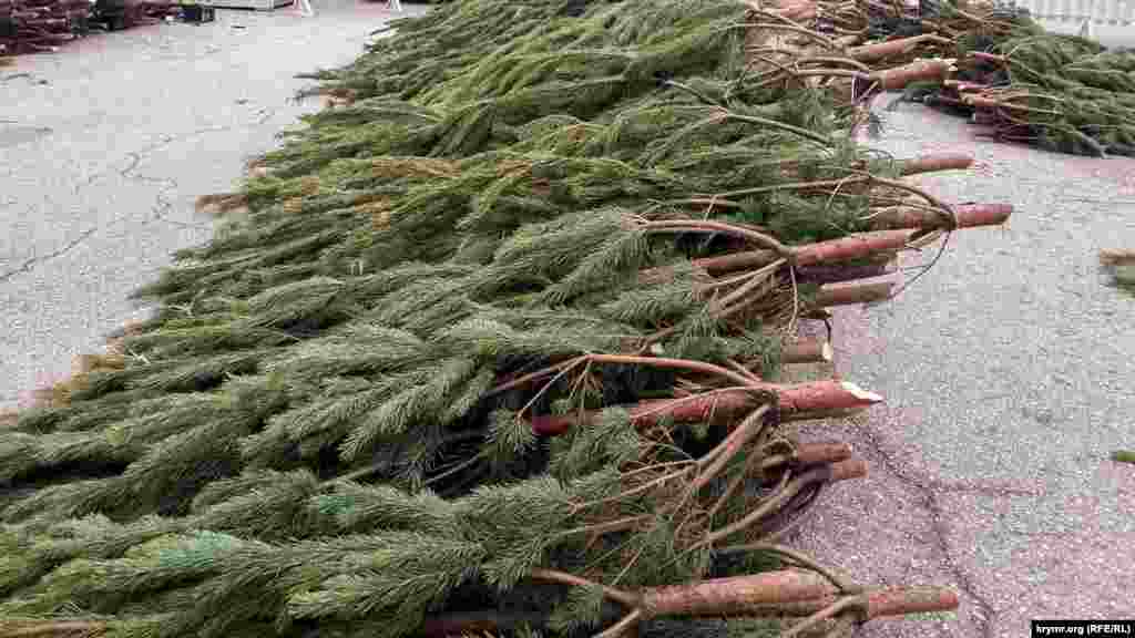 В разговоре с корреспондентом Крым.Реалии местные продавцы утверждали, что деревья на базаре – из российской Перми
