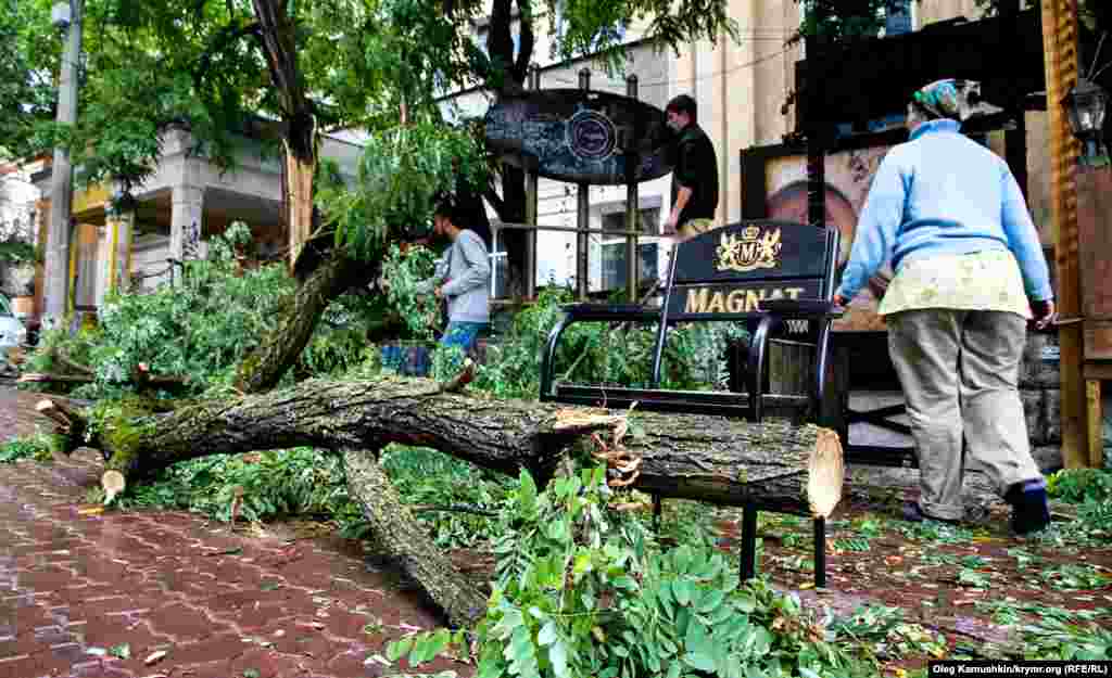 Работники были вынуждены закрыть бар из-за упавших веток 