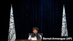 د طالبانو ویاند او د دوی د رژیم د اطلاعات او کلتور وزارت مرستیال ذبیح الله مجاهد