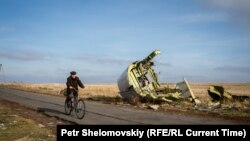 Уламки малазійського «Боїнга» біля селища Грабове. Листопад 2014 року