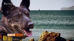 Первый украинский «матрос» на свободе (видео) Первый украинский «матрос» на свободе (видео)