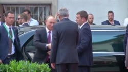 Свадебный президент Свадебный президент