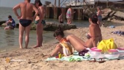 Морський відпочинок із мертвою рибою на курорті угруповання «ДНР» Морський відпочинок із мертвою рибою на курорті угруповання «ДНР»