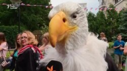 Статуя Свободи, Преслі з Монро та бургери: День незалежності США у Києві – відео Статуя Свободи, Преслі з Монро та бургери: День незалежності США у Києві – відео