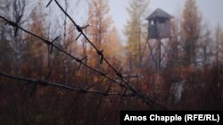 Росія. Залишки сталінської «дороги смерті» між Салехардом і Надимом, де були трудові табори ГУЛАГу