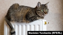 За останні два-три тижні запаси вугілля на складах зросли на 100 тисяч тонн, кажуть в уряді