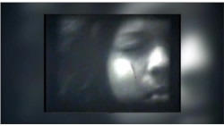 Коммуна около деревни Нове Вискы в Северной Чехии   Коммуна около деревни Нове Вискы в Северной Чехии