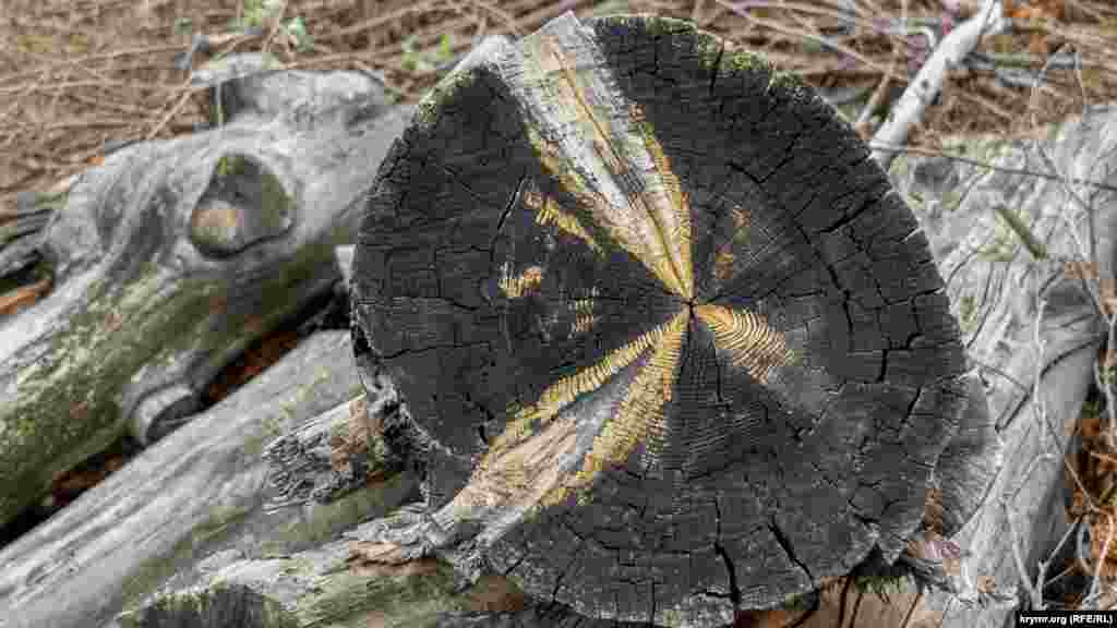 «Пожарный» срез