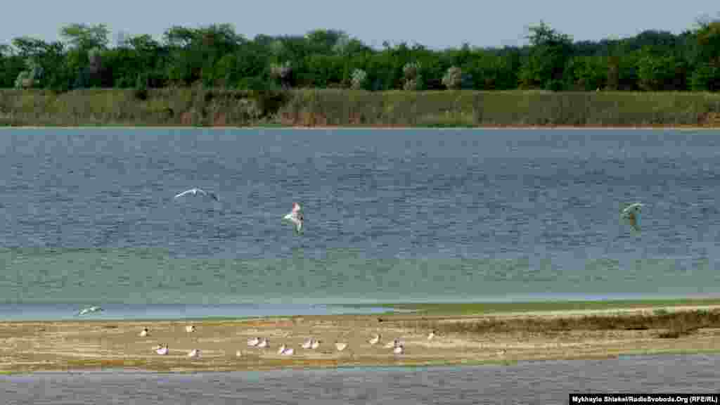 На території національного природного парку «Тузлівські лимани», що поблизу громади, мешкає 257 видів птахів. Територія парку перевищує 27 тисяч гектарів і охоплює 13 морських лиманів і 200 метрів акваторії моря.