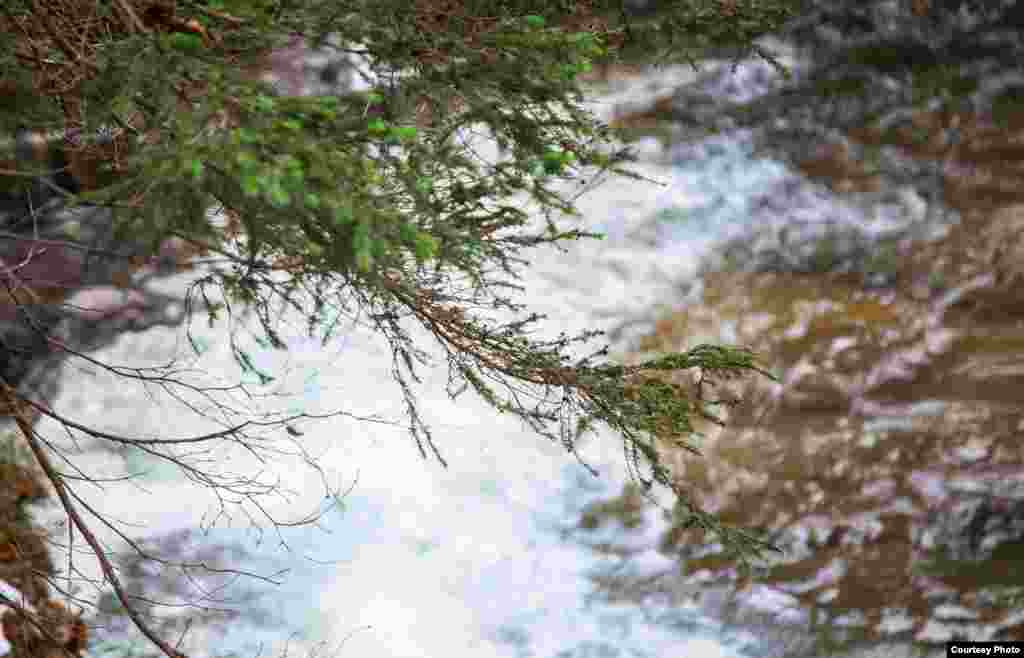 Немцы, которые населяли Крконоши до той поры, пока после Второй мировой войны их отсюда не выселили чехи, называли эту речку Муммель - потому что она бормочет. У водопада убеждаешься в том, что название вполне справедливо. В справочниках река именуется Большая Мумлава, и вот в этом хочется усомниться - а какая же тогда Малая, если эта - Большая? От мумлавского истока до ее устья - 12 километров, площадь водосбора - 50 "квадратов".  