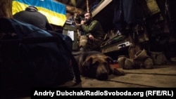 Пес по кличке За&#бись греется в землянке с деревянным полом (это редкость и роскошь)