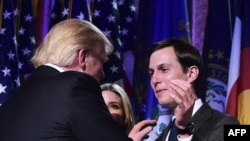 Президент США Дональд Трамп із Джаредом Кушнером, 9 листопада 2016 року