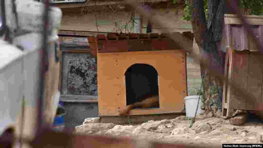 У грозного охранника сейчас «тихий час»