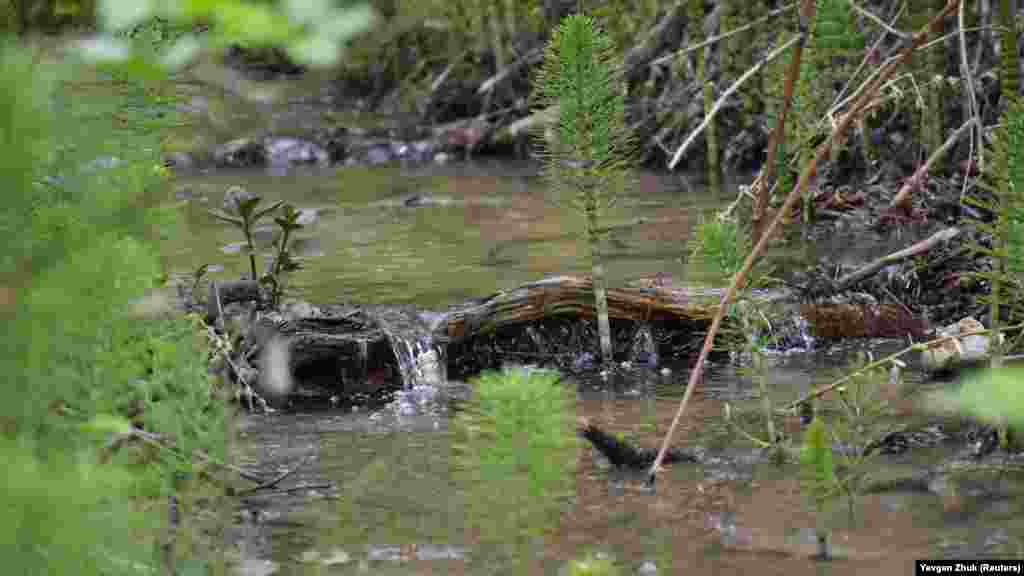 Речка Ай-Тодорка выше села 