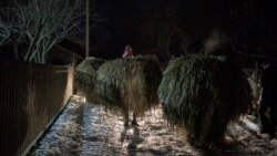 Традиційна Маланка на Буковині