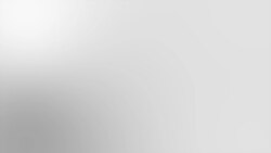 Гроші на кордоні. Елітні авто, нерухомість і коштовності родин закарпатських митників Гроші на кордоні. Елітні авто, нерухомість і коштовності родин закарпатських митників