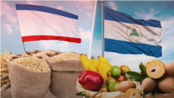 Пшеница для Никарагуа. Крым собирается поставлять товары за океан | Крымское утро Пшеница для Никарагуа. Крым собирается поставлять товары за океан | Крымское утро