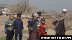 پېښور کې د افغان کډوالو یو پنډغالی