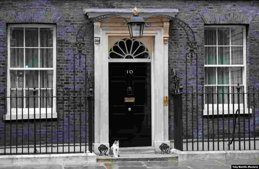 Даунинг-стрит, 10 (Лондон, Великобритания). Это резиденция премьер-министра Соединенного Королевства Великобритании и Северной Ирландии. Сама улица возникла в 1680-х годах. Застроил ее Джордж Даунинг. Дом под номером 10, в котором находится резиденци, состоит из трех зданий, которые объединили в 1732 году. В нем около 100 комнат (кабинеты, офисы, приемные, банкетные залы, кухня и частные покои), а также внутренний двор и терраса