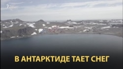 20 градусов тепла в Антарктике 20 градусов тепла в Антарктике