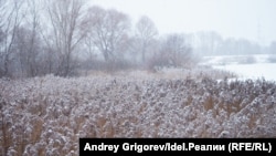 Гавриловская роща: взгляд изнутри