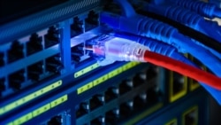 Археология. Медведи за клавиатурой Археология. Медведи за клавиатурой