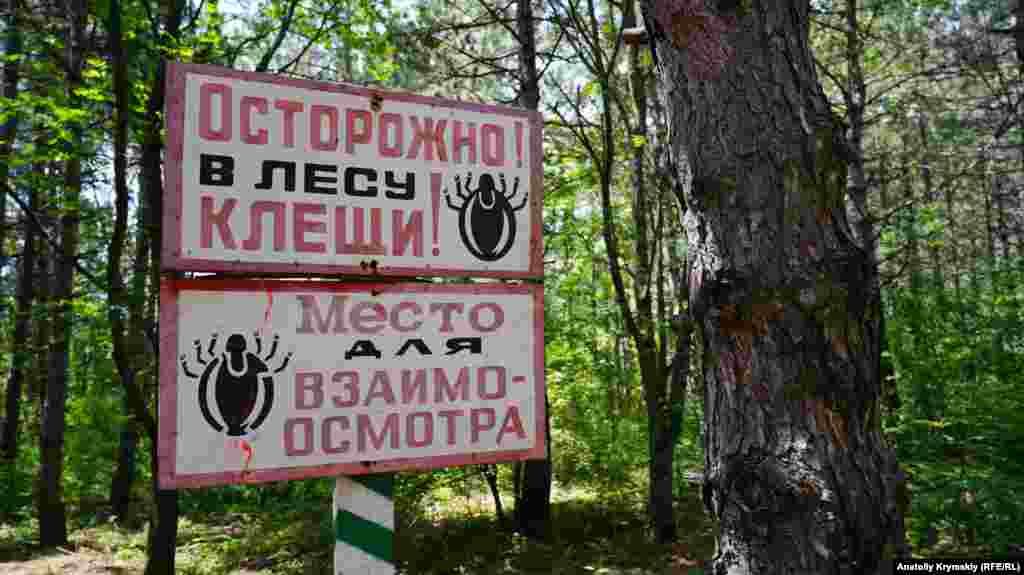 Слева от этой таблички – место для организованного привала туристов