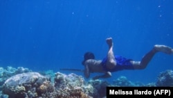 Ныряльщик баджао охотится на рыбу с помощью копья