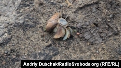 П’ять випадків обстрілів зафіксували в районі оперативно-тактичного угруповання «Схід»: поруч із Гнутовим, Павлополем, Пісками, в районі Водяного та Березового