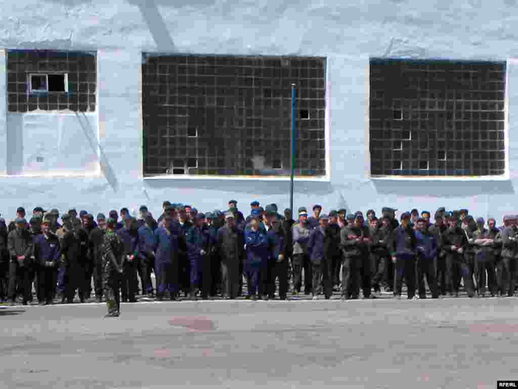 Серед ув'язнених: 298 - за умисне вбивство, 229 - за розбій, 383 - за крадіжку, решта - за інші злочини.