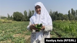 65 жаштагы Галатмо Алиева өзү өстүргөн бадыраңдар.