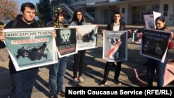 Митинг в Махачкале, 9 ноября 2019 г.