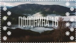 Полонина '16. Карпатські вівчарі пішли у гори Полонина '16. Карпатські вівчарі пішли у гори