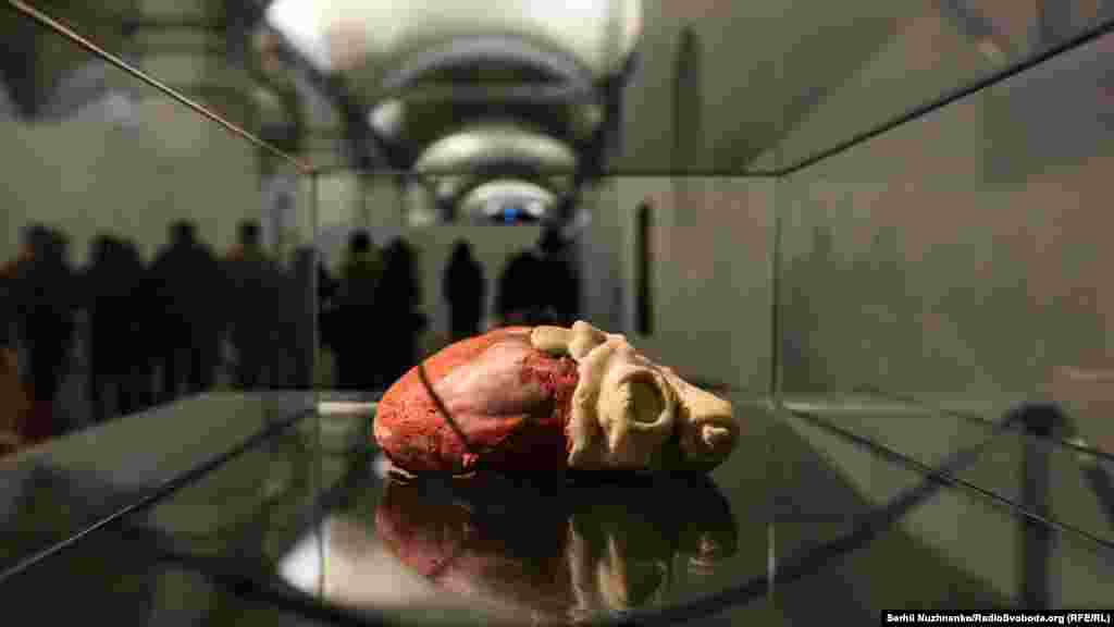 Частини тіла привертають увагу відвідувачів. На фото – «Серце»,1999. Олександр Гнилицький Цікава також «Інсталяція з фалічними символами» (наступне фото). За словами куратора виставки Олександра Соловйова, колись у Гнилицького фалічні символи в цій інсталяції були розміром із пів людського зросту. У заглиблення він засівав зернинки і поливав, так що до кінця виставки інсталяція повністю обростала зеленню  