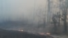 У Луганській області вдруге за місяць спалахнули лісові пожежі, відбувається евакуація