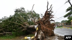 илустрација