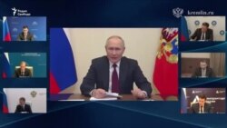 Провоенные блогеры недовольны предложением Путина  Провоенные блогеры недовольны предложением Путина