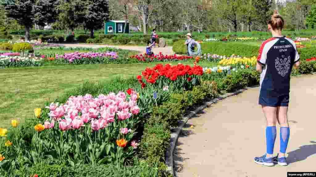 Головна прикраса ботсаду в цю пору року – різнокольорові тюльпани