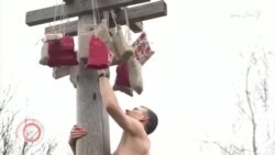 د مارچ لومړۍ ویډیويي خبرونه د مارچ لومړۍ ویډیويي خبرونه