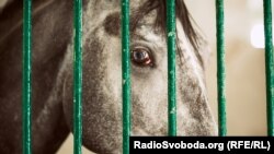 Иллюстративное фото