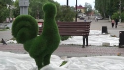 Навальный опять проиграл суд Навальный опять проиграл суд