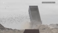 15 обысков и 2 гранаты 15 обысков и 2 гранаты