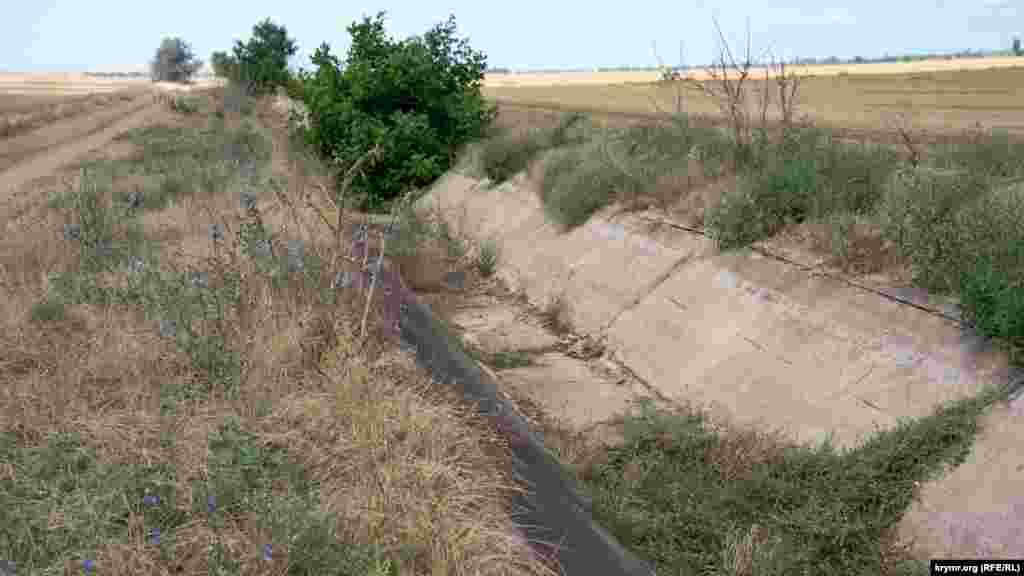 Село Ботаническое (до 1945 года – Аип) раскинулось в одноименной балке среди степи на северо-западе Крыма. До перекрытия Северо-Крымского канала в 2014 году, балка служила сбросовым коллектором, по которому избыток днепровской воды из канала отводился в Каркинитский залив Черного моря
