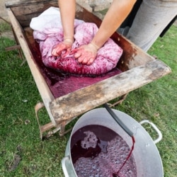 виготовлення домашнього вина