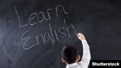 Сокращение часов, как отмечается, не отменяет предмет, а «направлено на поиск оптимального баланса в учебном плане»