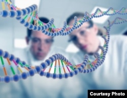 Пример того, как внутриклеточные структуры могут выступать в роли крохотных компьютеров, хорошо известен - молекула ДНК