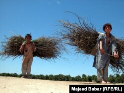 په افغانستان کې ۱۴ میلیونه خلک دا وخت د خوراک له کمي سره مخامخ دي.