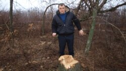 Сергей Падалка, руководитель Черкасской ОТГ