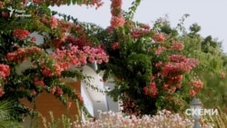 Але ще одна асоціація з ним – це «офшорний рай»